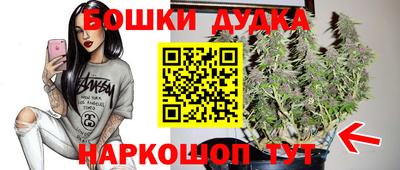 СК Абинск