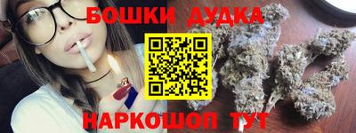 гидра Гагарин