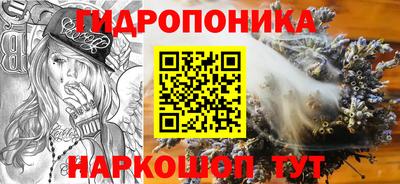 гидра Гагарин