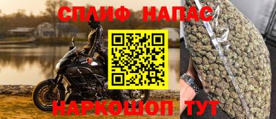 гидра Гагарин