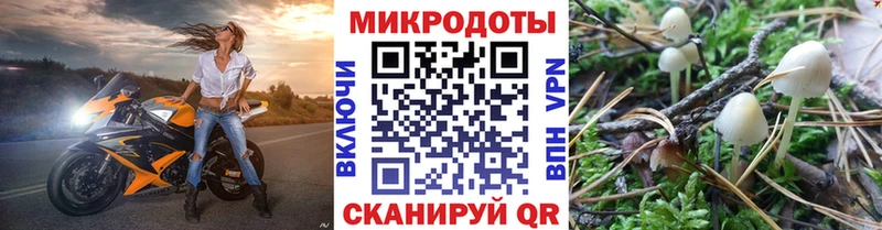Псилоцибиновые грибы мицелий  Ипатово 